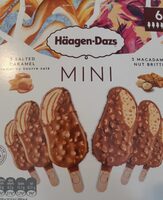 Mini Haagen-Dazs