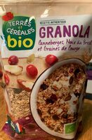 Granola canneberges noix bresil graine de courges