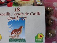 Oeufs de caille