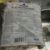 Pleurotes baby