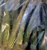 Asperges vertes/GR.M