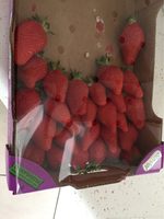 Fraises Gariguette
