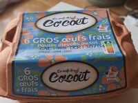 Gros œufs frais