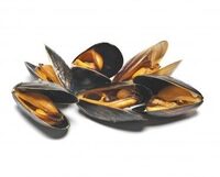 Moule de cordes