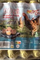 Œuf frais de poules élevées en plein air