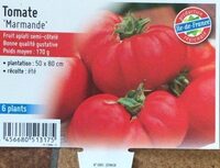 Tomate