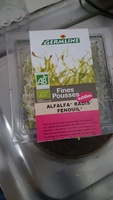 Fines pousses ALFALFA RADIS FENOUIL