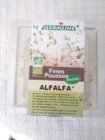Alfalfa