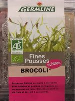 Graine Germee Brocolis