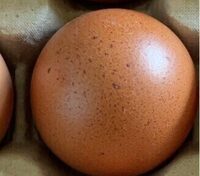 Oeufs