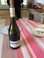 Saumur champigny