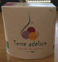 Sorbet Mangue Bio