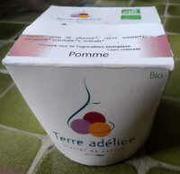 Sorbet bio pomme