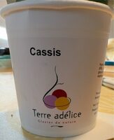 Cassis Sorbet BIO
