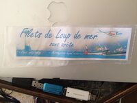 Filet de Loup de mer