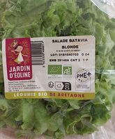 Salade de batavia blonde