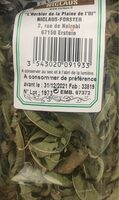 Verveine