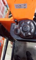 Orange mandarine