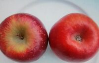 Pommes Choupette -dalinette
