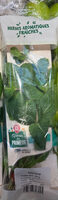Menthe