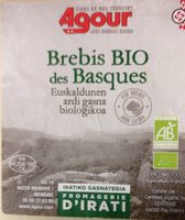 Brebis Bio des Basques