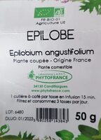 Epilobium angustifolium