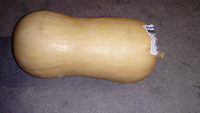 Butternut