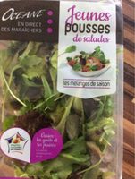 Salade Verte