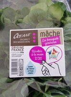 Mache