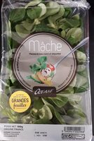 Mâche