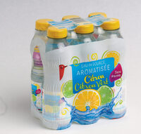 Eau de source aromatisée citron citron vert - sans sucres