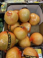 Pomelo