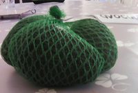 Avocat Mexique