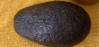 Avocat