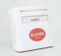 Glace artisanale Plombière - Raimo