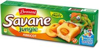 Savane jungle