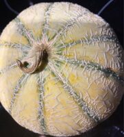 MELON Melon Charentais pièce