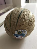 Melon du Quercy "Le Flamboyant"