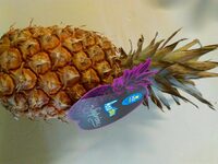Ananas