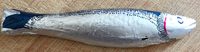 Filet de Sardines Chocolat
