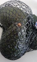 Avocat Hass