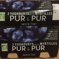 Yoghourts sur lit de myrtilles
