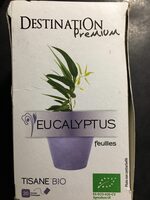 Eucalyptus