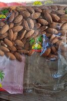 Amandes crues