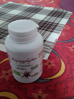 L'HERBOTHICAIRE Harpagophytum Bio