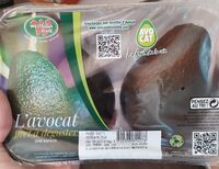 Avocat