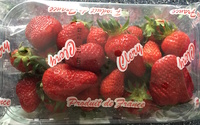 Fraises Clery