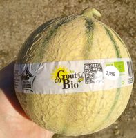 Melon Charentais