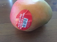 Mangue