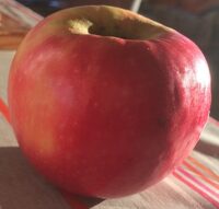 Pomme